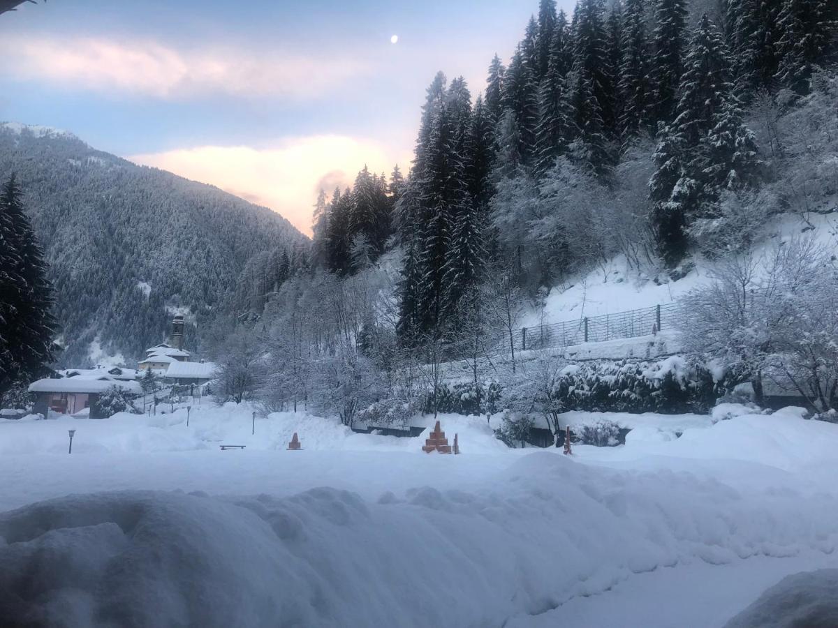 Holidays Dolomiti Apartment Resort Carisolo Exterior foto